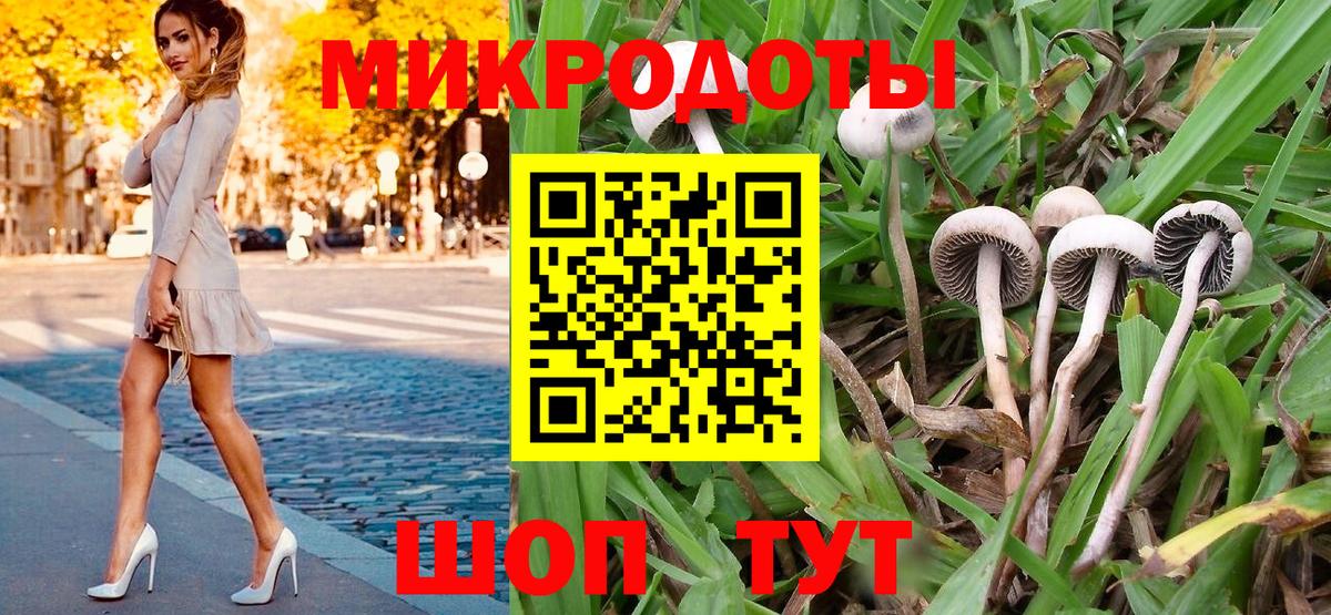 Псилоцибиновые грибы Psilocybe  Вход с VPN  наркотики  Сургут 